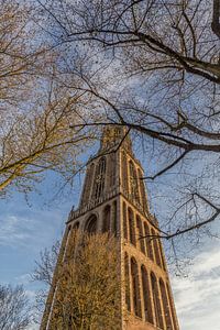 Domtoren Utrecht vanaf het Domplein op een zonnige dag - 3 van Tux Photography