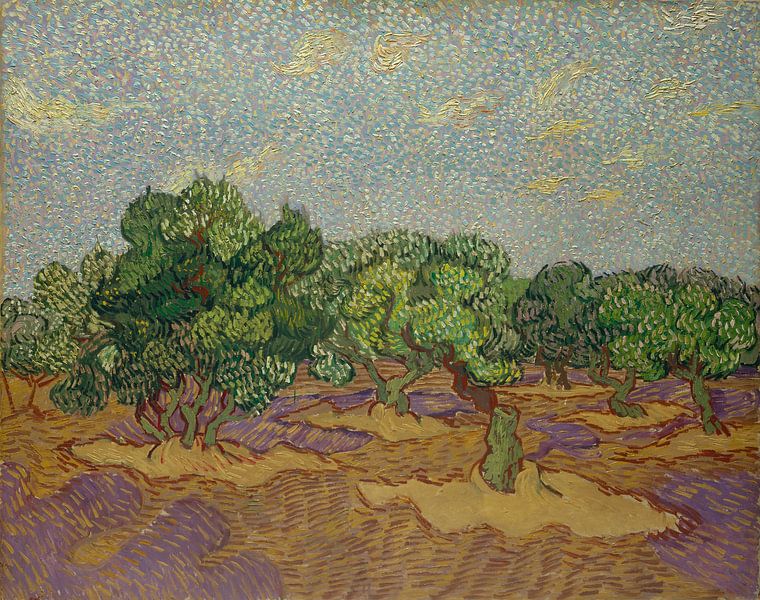 Olive Trees, Vincent van Gogh by Masterful Masters