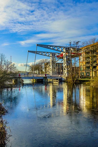 Bridge the fuss at Piushaven by Freddie de Roeck