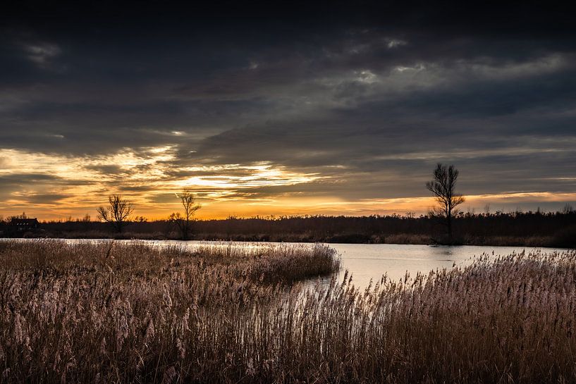 Sunset Biesbosch by Viocida