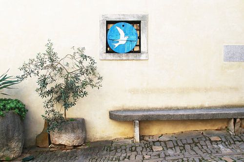 Olive tree and dove of peace, Croatia