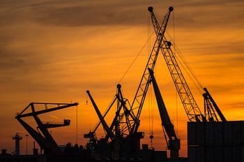Havenkranen met zonsondergang