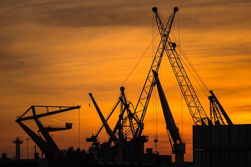 Havenkranen met zonsondergang