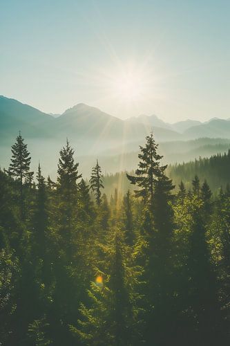 Light shines over the mountains