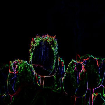 Neonblumen von Marcel Kieffer
