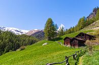 Idylisch Zwitsers landschap met uitzicht over de Matterhorn van Justin Suijk thumbnail