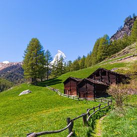 Idylisch Zwitsers landschap met uitzicht over de Matterhorn