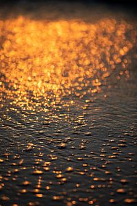Ostseestrand im goldenen Sonnenuntergangs-Licht