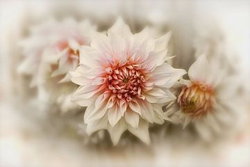 Dromerige Dahlia's - Boho Vintage van marlika art