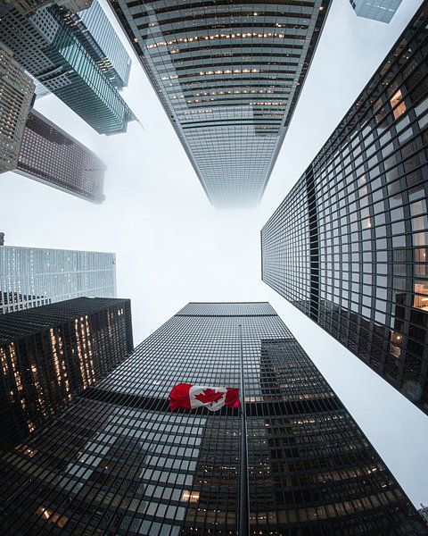 Toronto by Hello Pompoyo