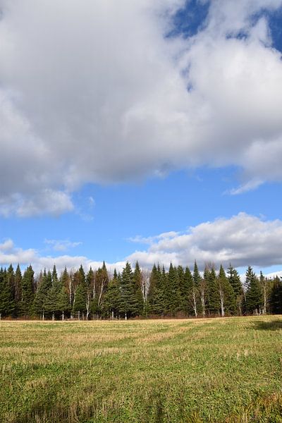 A field in autumn by Claude Laprise