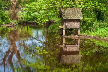 Vogelhuisje op de Wümme, Fischerhude van Torsten Krüger