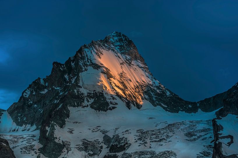 DENT BLANCHE van Christian Schmidt