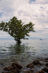 Anker in der Unendlichkeit