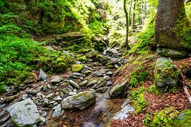 A view of the Roman Gorge near Velden am Woerthersee by Andreas Völkel