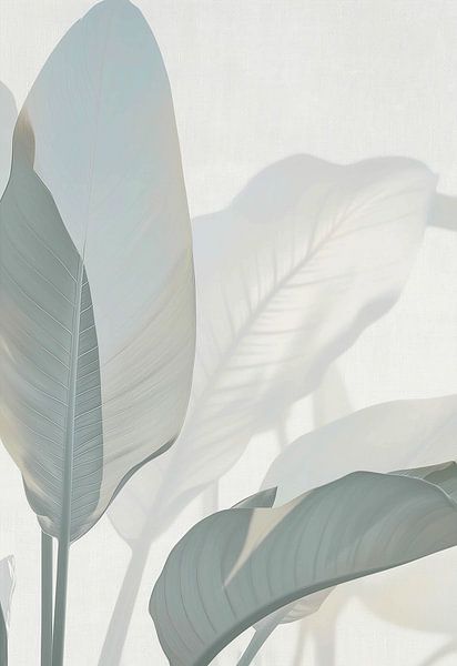 Soft Morning Glow by Color Square