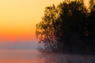 Foggy Sunrise 'Silhouettes' van William Mevissen thumbnail