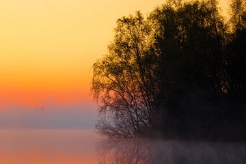 Foggy Sunrise 'Silhouettes'