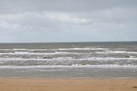 seaside sandvoort