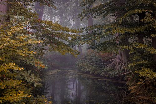 Mysty day at Twickel