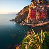 Das Dorf Riomaggiore und die Agavenpflanze. Cinque Terre von Stefano Orazzini