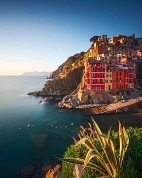 Riomaggiore dorp en agave plant. Cinque Terre van Stefano Orazzini