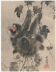 Kawanabe Kyōsai - Affe an Weinreben hängend