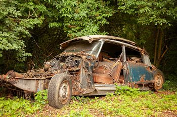citroen DS Autofriedhof