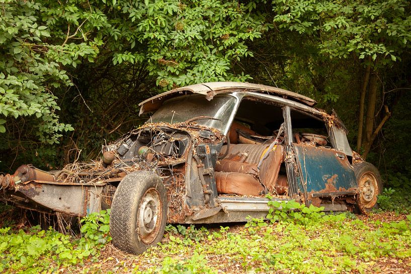 citroën DS cargraveyard van anne droogsma