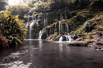 Bezaubernder Wasserfall im Dschungel von Bali, Indonesien von Troy Wegman