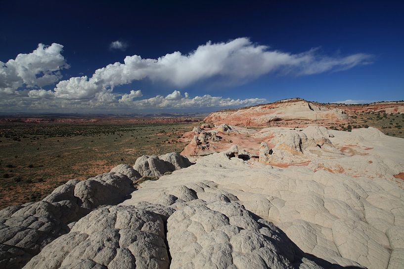 White Pocket, Vermilion Cliffs National Monument, Arizona van Frank Fichtmüller