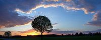 Zonsondergang over het veld