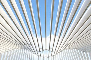Gare ferroviaire de Reggio Emilia en Italie par l'architecte Santiago Calatrava