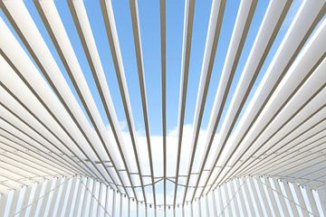 Bahnhof von Reggio Emilia in Italien von Architekt Santiago Calatrava von Truus Nijland