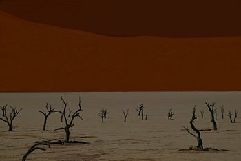 DEADVLEI 1