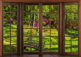 Blick aus einem Holzfenster