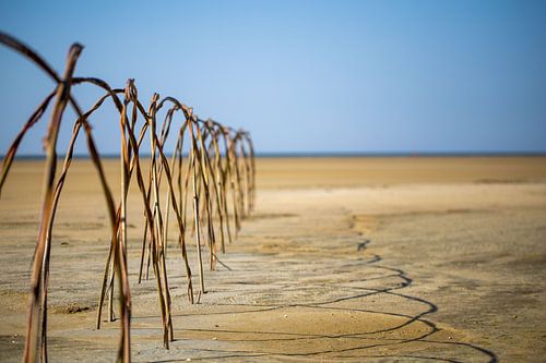 Wadland - Grüner Strand - Terschelling - Oerol 2014