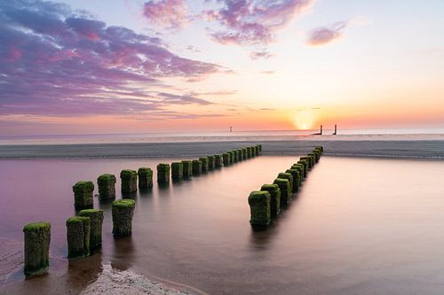 Uniek lijnenspel van Louise Poortvliet