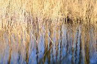 Weerspiegeling