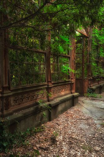 The Greenhouse 9