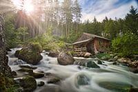 Fluss mit Hütte im Wald