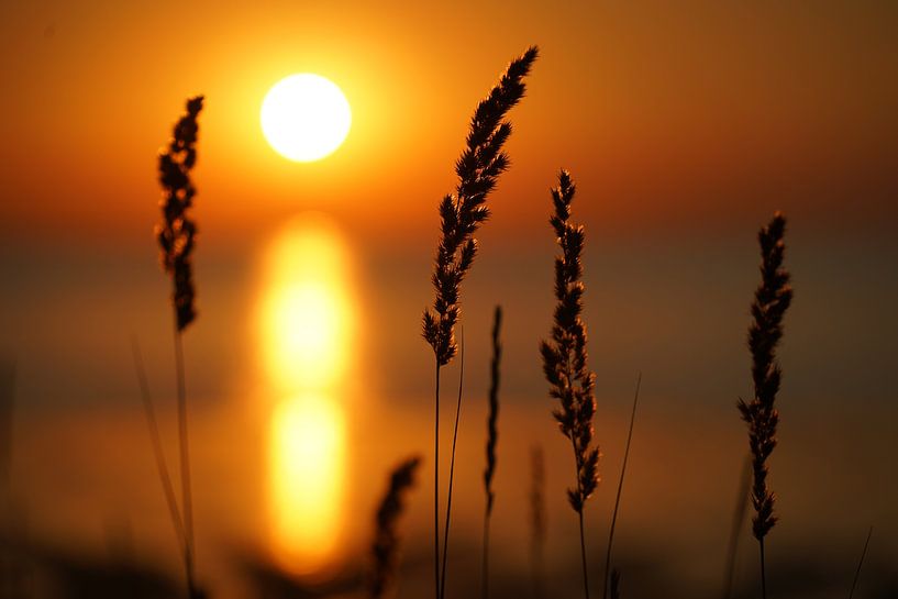 sunset by Edwin Van kleef