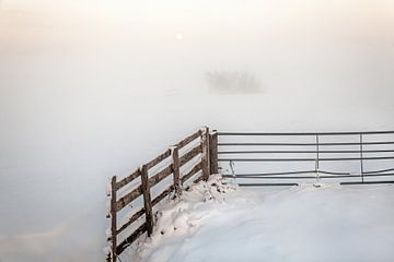 Winter in the Alblasserwaard by Ko Hoogesteger