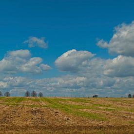 Perspectief op Limburgs heuvelland van Rick Biermans