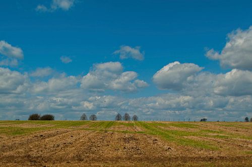 Perspectief op Limburgs heuvelland by Rick Biermans