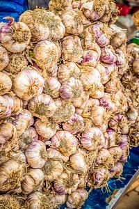 knoflook op een rij van Tonny Visser-Vink