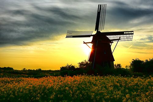 Sunrise at Windmill de Hommel Haarlem