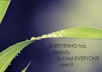 Everything has beauty