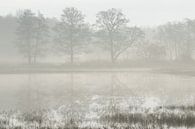 Bomen in reflectie op een mistige ochtend van Art Wittingen thumbnail