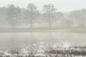 Bomen in reflectie op een mistige ochtend sur Art Wittingen